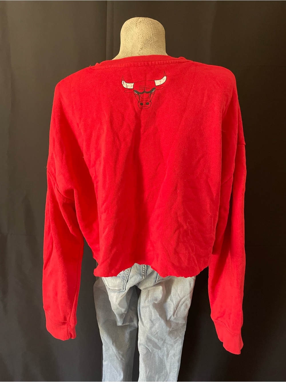 Chicago Bulls Red Cropped Crewneck Sweater - Picture 2 of 4